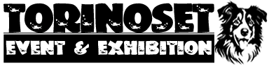 Torinoset: noleggio attrezzature video